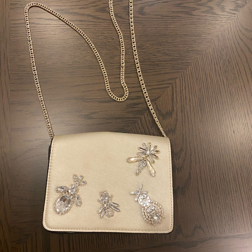 Zara purse